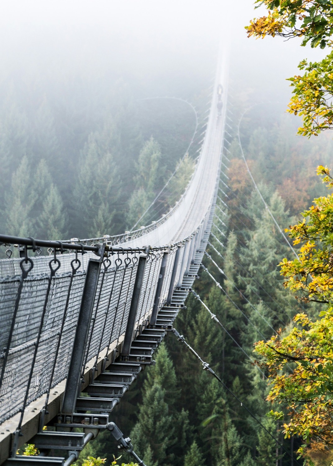 Hängebrücke — Verbindung zwischen Marketing und IT